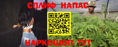 mdpv Новодвинск