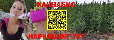 mdpv Новодвинск
