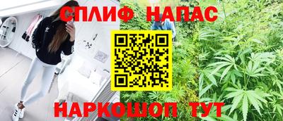 mdpv Новодвинск