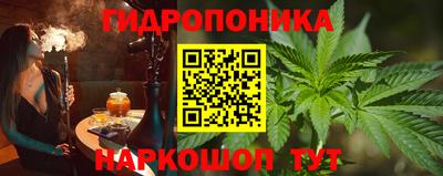 mdpv Новодвинск