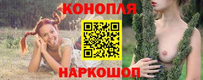 альфа пвп Новокубанск