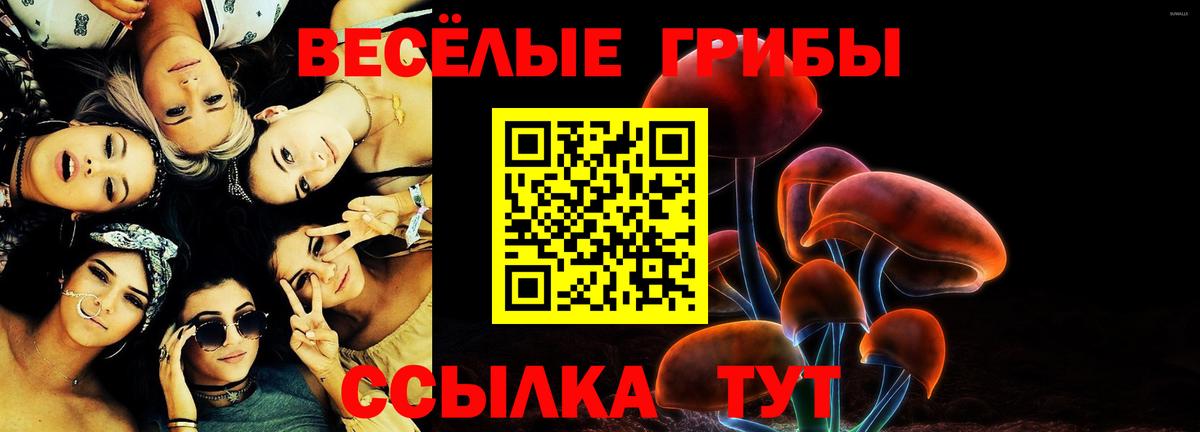 Таганрог  Галлюциногенные грибы мицелий  Вход с VPN 